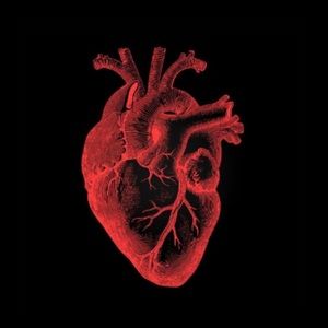 Meet your Posher, Alizabeth